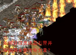 ��λ�ȡ��꾧ʯϻ��������ȫ������������