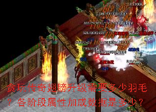 ̰�洫����������Ҫ������ë�����׶����Լӳ������Ƕ��٣�