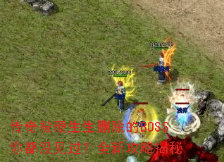 ���汻Ӳ����ɾ����BOSS�㶼û������ȫ�¹��Խ���