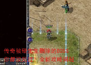 ���汻Ӳ����ɾ����BOSS�㶼û������ȫ�¹��Խ���
