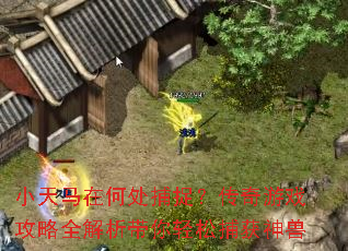 小天马在何处捕捉?传奇游戏攻略全解析带你轻松捕获神兽 小天马在何处捕捉?传奇游戏攻略全解析带你轻松捕获神兽