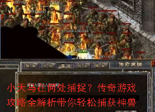 小天马在何处捕捉?传奇游戏攻略全解析带你轻松捕获神兽 小天马在何处捕捉?传奇游戏攻略全解析带你轻松捕获神兽
