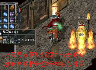 小天马在何处捕捉?传奇游戏攻略全解析带你轻松捕获神兽 小天马在何处捕捉?传奇游戏攻略全解析带你轻松捕获神兽
