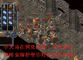 小天马在何处捕捉?传奇游戏攻略全解析带你轻松捕获神兽 小天马在何处捕捉?传奇游戏攻略全解析带你轻松捕获神兽