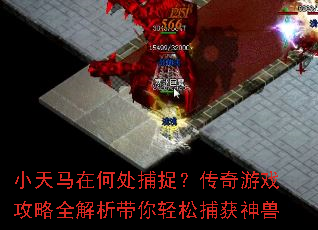 小天马在何处捕捉?传奇游戏攻略全解析带你轻松捕获神兽 小天马在何处捕捉?传奇游戏攻略全解析带你轻松捕获神兽