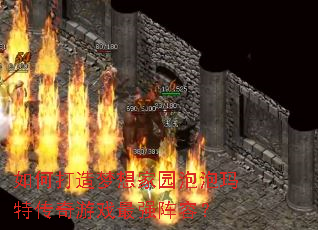 如何打造梦想家园泡泡玛特传奇游戏最强阵容? 如何打造梦想家园泡泡玛特传奇游戏最强阵容?
