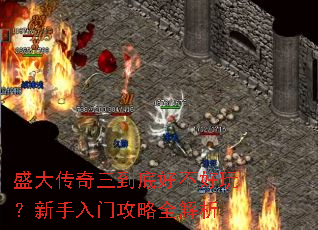 ʢ���������׺ò����棿�������Ź���ȫ����