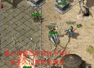 ʢ���������׺ò����棿�������Ź���ȫ����